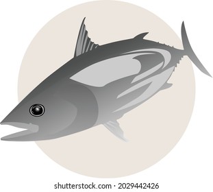 vector illustration of tuna good for fishing