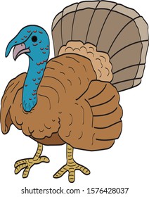 the vector illustration of turkey.