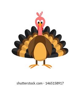 Vector illustration of turkey in cartoon style. Happy thanksgiving vector concept.