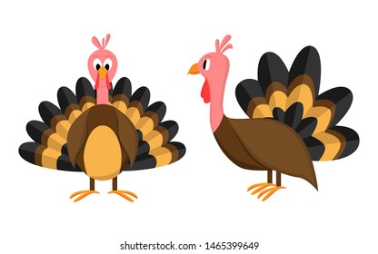 Vector illustration of turkey in cartoon style. Happy thanksgiving vector concept.