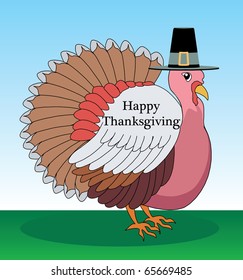 Vector illustration of a Turkey Pilgrim outside with hat.