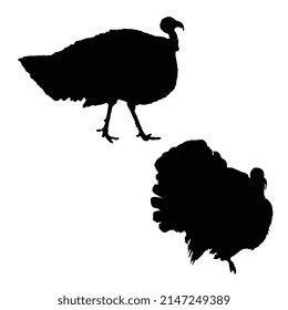 Vector illustration of turkey silhouette