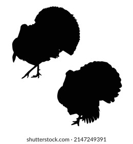 Vector illustration of turkey silhouette