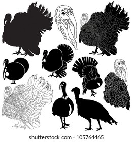 Vector illustration of turkey silhouettes set.