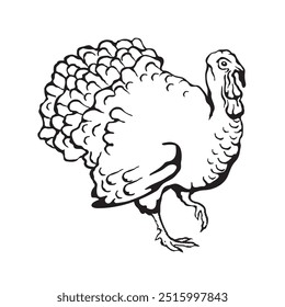 Ilustración vectorial de un pavo en estilo sketch