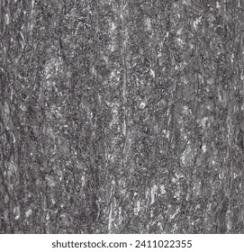 Ilustración vectorial de la textura de corteza de avellano turca o Corylus colurna. Fondo natural de cuero.