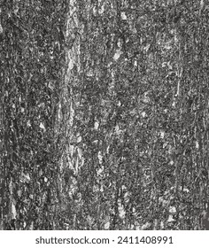Ilustración vectorial de la textura de corteza de avellano turca o Corylus colurna. Fondo natural de cuero.