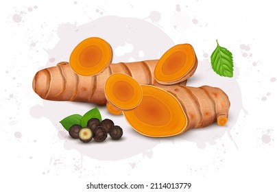 Vector illustration of turmeric root and black pepper seed with turmeric slices