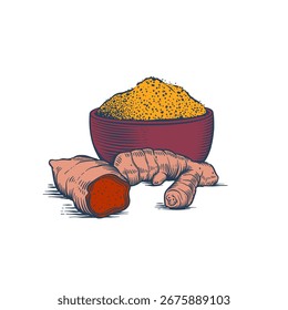 Ilustración vectorial de raíz de cúrcuma y polvo de cúrcuma en estilo de boceto de grabado. Perfecto para el envasado de especias, ayurveda, medicina herbaria y diseño de alimentos
