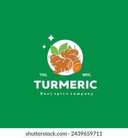 vector illustration of the turmeric spice logo icon, turmeric kitchen spice for the cooking industry
