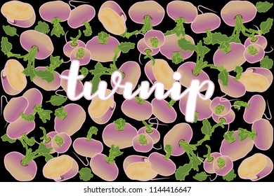 vector illustration of turnip and leaf design with lettering turnip background black and vegetable EPS10