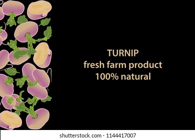 vector illustration of turnip and leaf design background black and vegetable and text fresh farm product 100% natural EPS10