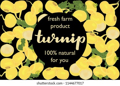 vector illustration of turnip and leaf design with lettering turnip background black and vegetable and text fresh farm product 100% natural for you EPS10