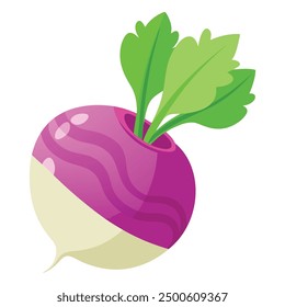 Ilustración vectorial de nabo vegetal 