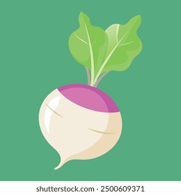 Ilustración vectorial de nabo vegetal 