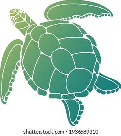 Vector illustration of a turtle