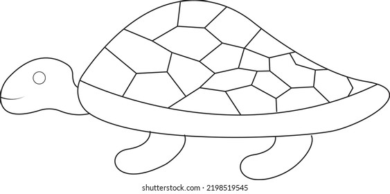 Vector Illustration of Turtle Cartoon