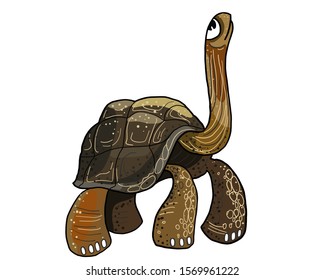 vector illustration of a turtle cartoon for postcards and comics, can be used as a logo