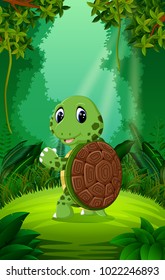 vector illustration of Turtle in the clear and green forest