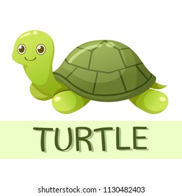 Vector illustration of a turtle design character cartoon and font on white background
