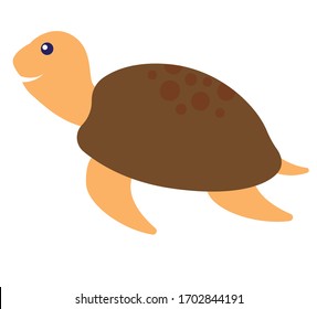 vector illustration of turtle on white background