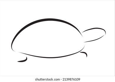 Vector illustration of turtle painted with simple lines. Symbol of reptile and wild animal.
