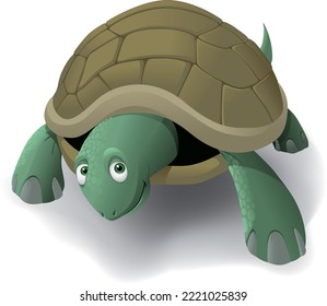 vector illustration of a turtle who walks