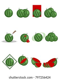 Vector illustration of twelve variants of watermelon
