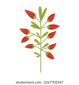 Vector illustration of twig with dark red buds. Plant with flower buds in flat design. Flower in burgundy color. Spring botanical illustration.