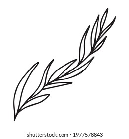 Vector illustration with a twig. Doodle style plant vector for banners and postcards.