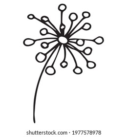 Vector illustration with a twig. Doodle style plant vector for banners and postcards.