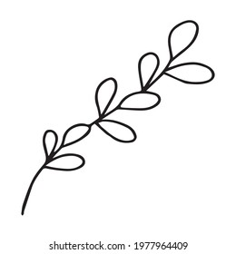 Vector illustration with a twig. Doodle style plant vector for banners and postcards.