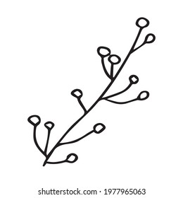 Vector illustration with a twig. Doodle style plant vector for banners and postcards.