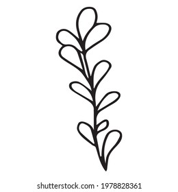 Vector illustration with a twig. Doodle style plant vector for banners and postcards.