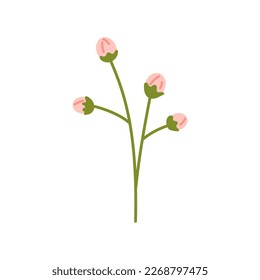 Vector illustration of twig with light pink buds. Plant with soft flower buds in flat design. Flower in pink color. Spring botanical illustration.