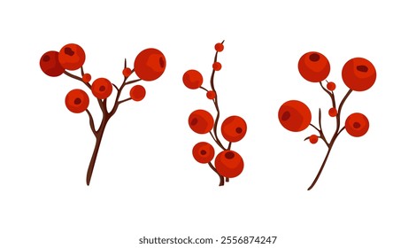 Vector illustration of twigs with red forest berries on white background. Lingonberries, cranberries on a branch 
