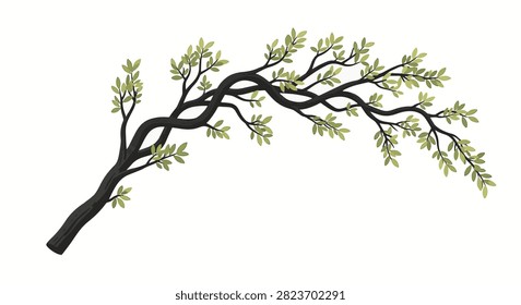 Vector illustration of a twisted, dark wood shrub branch with small green leaves isolated on a white background. Features gnarled bark texture and organic arching shape for design.