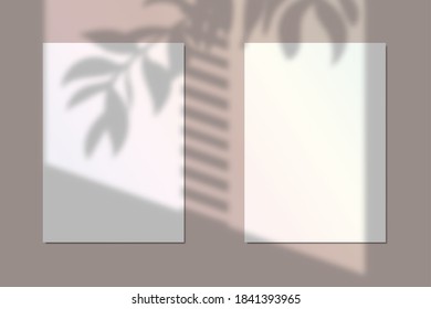 Vector illustration of two a4 paper mockups with realistic floral shadow overlay effect. Blurred soft light shadow from window and branch with leaves on paper sheet for product presentation