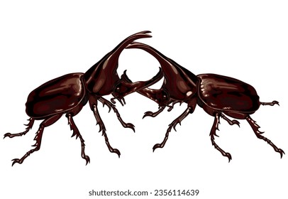 ensemble vectoriel de beaux coléoptères colorés avec des taches 7924887 Art  vectoriel chez Vecteezy