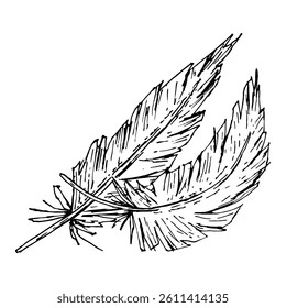 Vector illustration of two artistic feathers with textured ink lines. Ideal for tribal-themed decor, natural product labels, rustic wedding designs, bohemian fashion, and ethnic crafts.