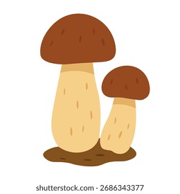 Ilustración vectorial de dos hongos boletus de otoño con tapas marrones, estilo plano, elemento decorativo aislado.