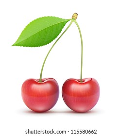 Vector illustration of two beautiful ripe red fresh cherries isolated on white background