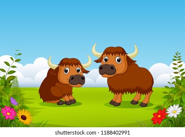 vector illustration of two big brown bison playing in the green field around the flowers