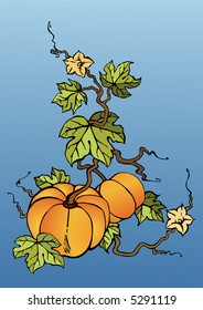 Vector illustration of two big pumpkins with leaves