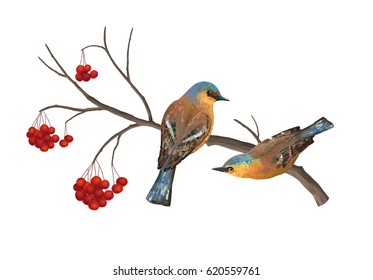 Vector illustration of two birds sitting on a branch with red berries. Digital illustration