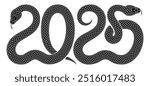 Vector illustration of two black snakes intertwined in shape of number 2025. Isolated serpent silhouette design combined as numeric symbol for 2025 Chinese New Year celebration with snake zodiac sign.