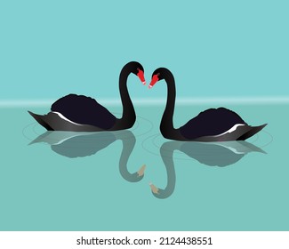 

A vector illustration of a two black swans swimming in the water. You can see the reflection of the big black birds in the water. Waves are visualized with grey thin circles.