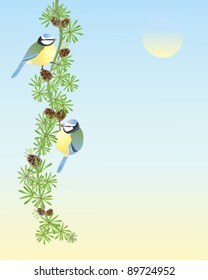 vector illustration of two bluetits parus caeruleus on a larch branch on blue sky background in eps 10 format