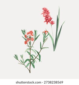 Vector illustration of two botanical elements with pink and red flowers, featuring detailed green leaves, set against a plain white background.