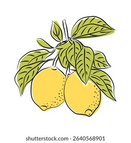 Vector illustration of two bright yellow lemons with green leaves on a branch. Hand-drawn citrus fruit design with bold lines and modern minimal style on white background.